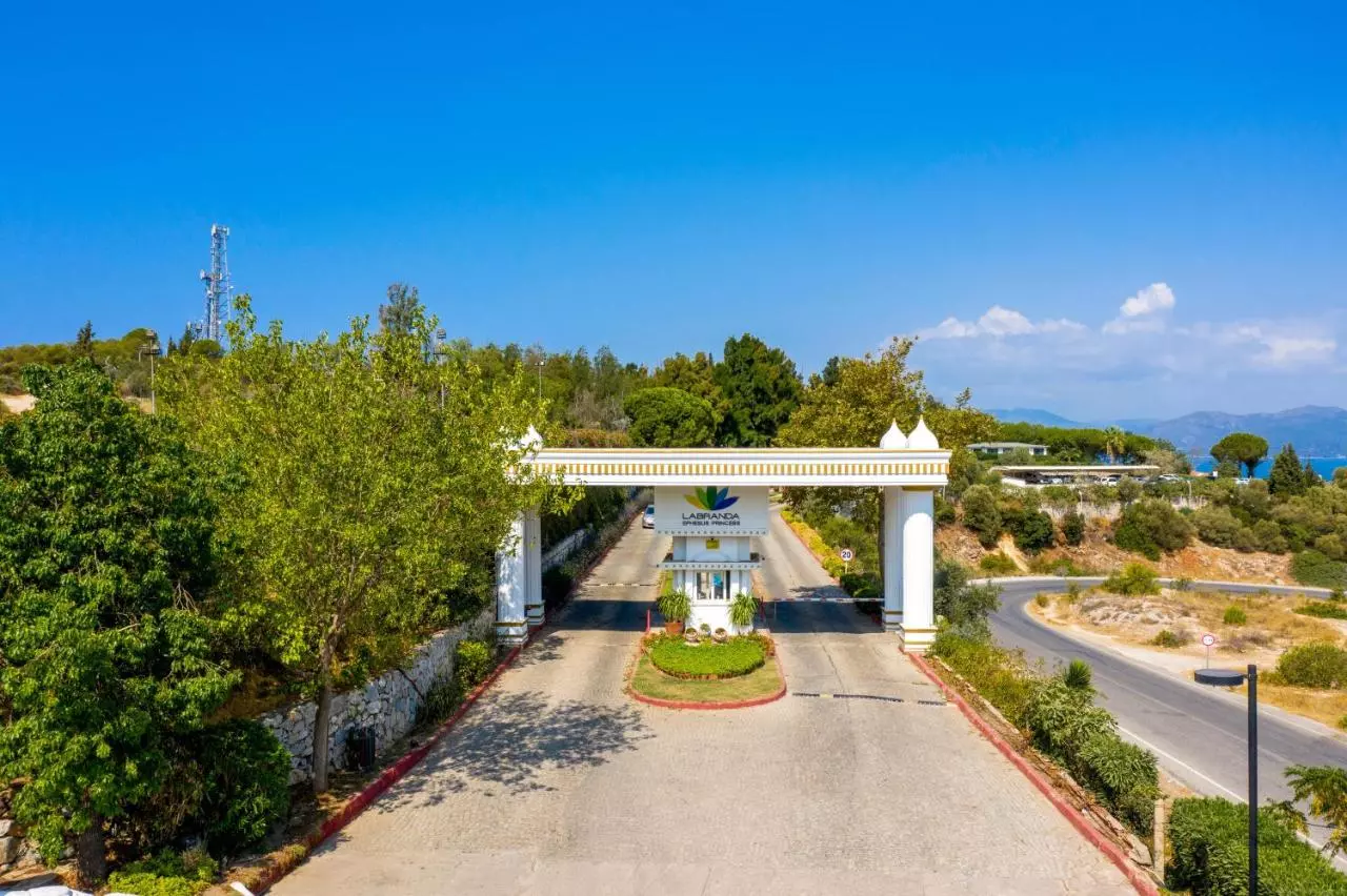 افسوس پرینسس