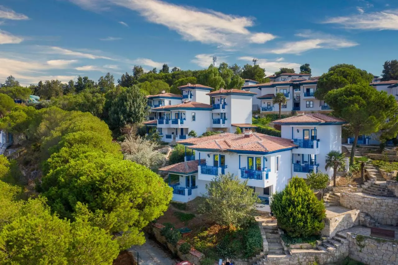 افسوس پرینسس