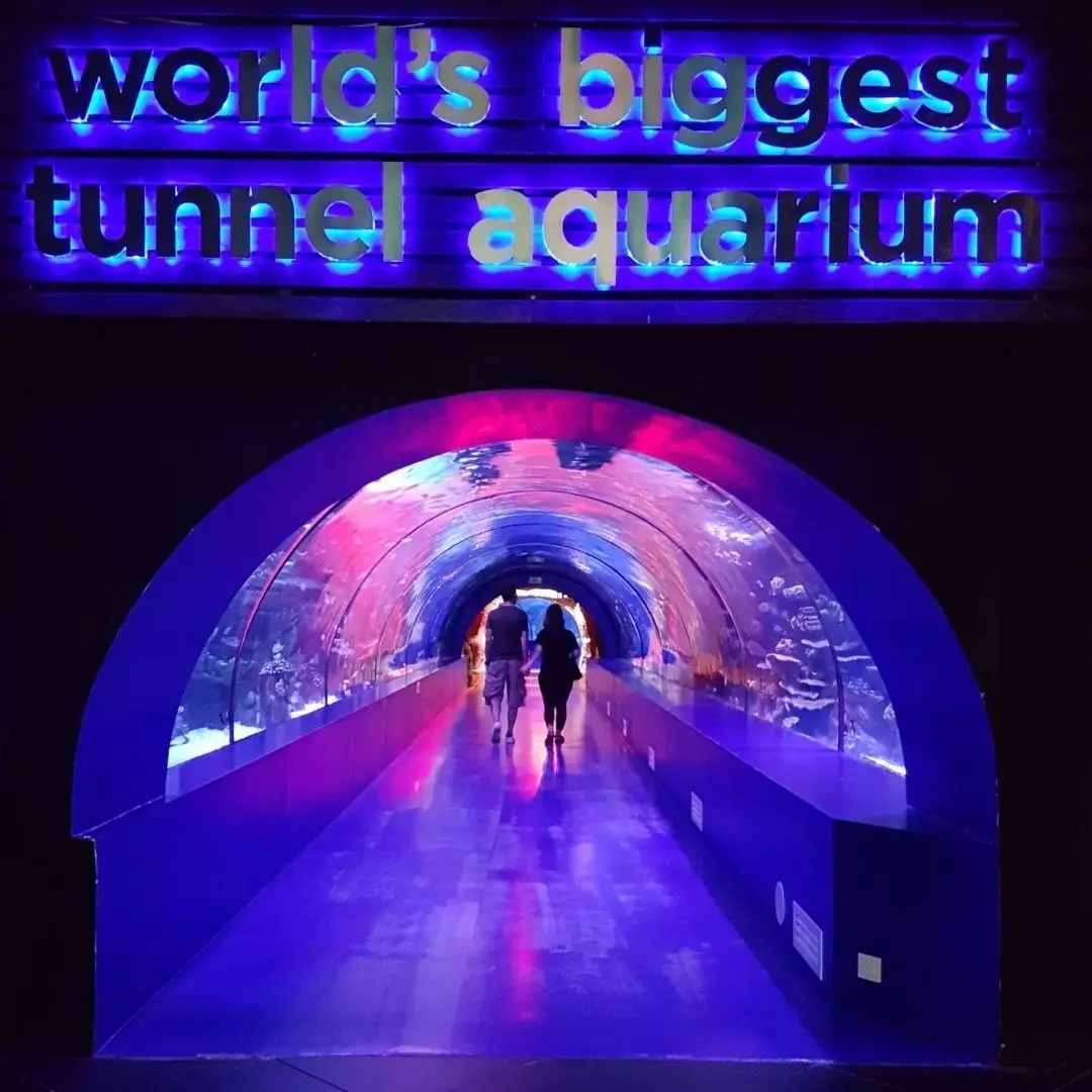 آکواریوم آنتالیا:دنیای زیر آب در سفری شگفت انگیز