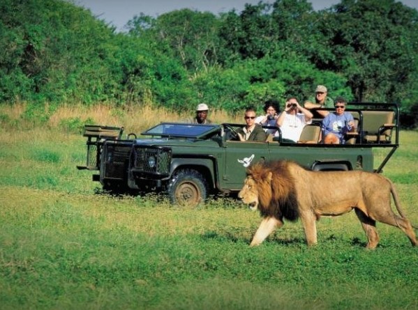 تور آفریقای جنوبی (ژوهانسبورگ+ سان سیتی + پارک جنگلی + کیپ تاون) 11 روز 27 اسفند - ویژه نوروز