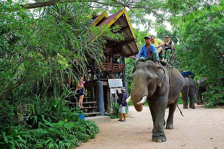 دهکده فیل پاتایا تایلند کجاست؟ + تصاویر