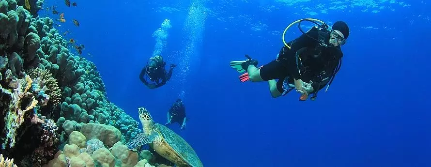 غواصی در کاس ترکیه